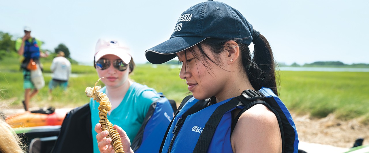 Student examining whelk egg case