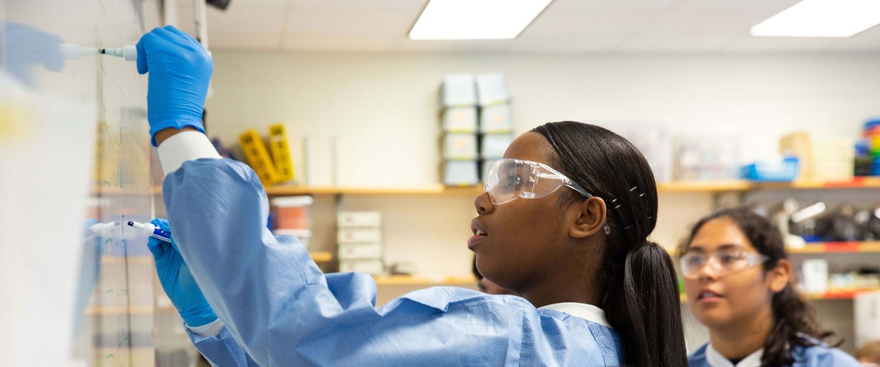 diversity in the college of health sciences