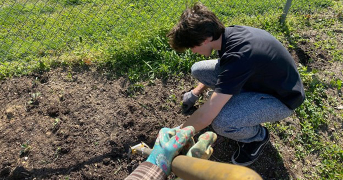 Jack Feldmann works in the community garden at the Bellevue Community Center