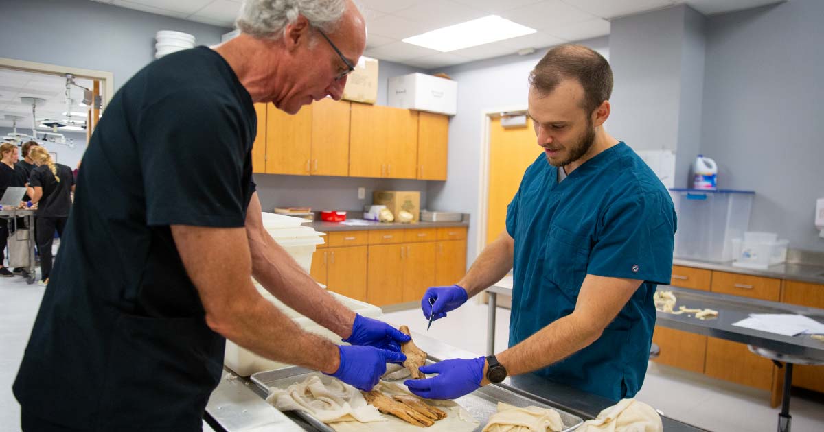 Two professors examine an unwrapped joint specimen over a table