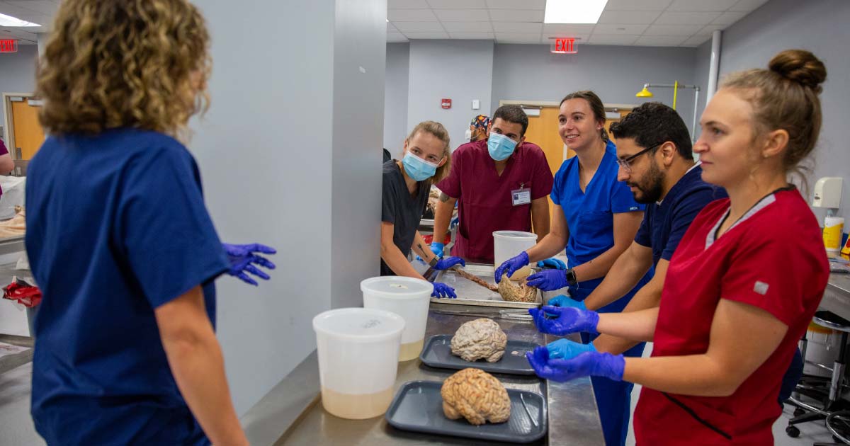 Professor instructs 5 students that are looking at brain specimens