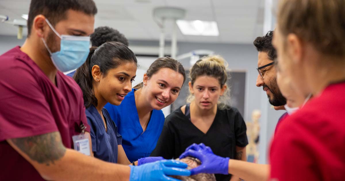 Group of 8 students gathered around examining a human brain