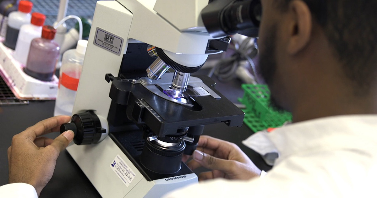 University of Delaware medical laboratory science graduate Nyle Smith uses a microscope in the lab. 