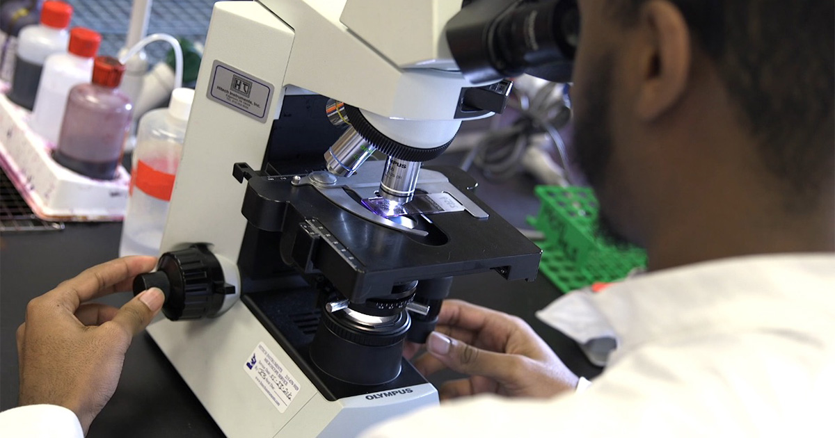 University of Delaware medical laboratory science graduate Nyle Smith uses a microscope in the lab.