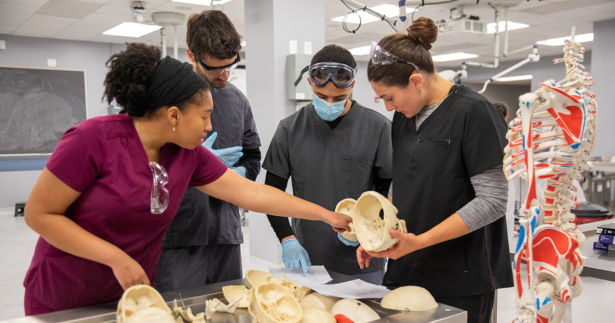 Students work with bones in the anatomy lab on UD's STAR Campus.