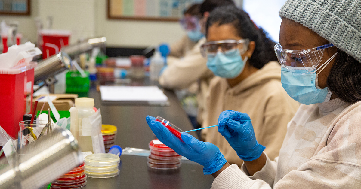 A specimen being handled in a Medical and Molecular Sciences laboratory. 