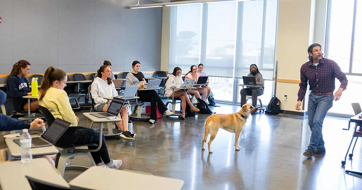 Maybe, a 14-month-old Lab-Shepherd mix who’s an emotional support dog in training, is in the classroom standing at attention while her owner Greg Dominick, associate professor of health behavior and nutrition sciences, teaches a class. 