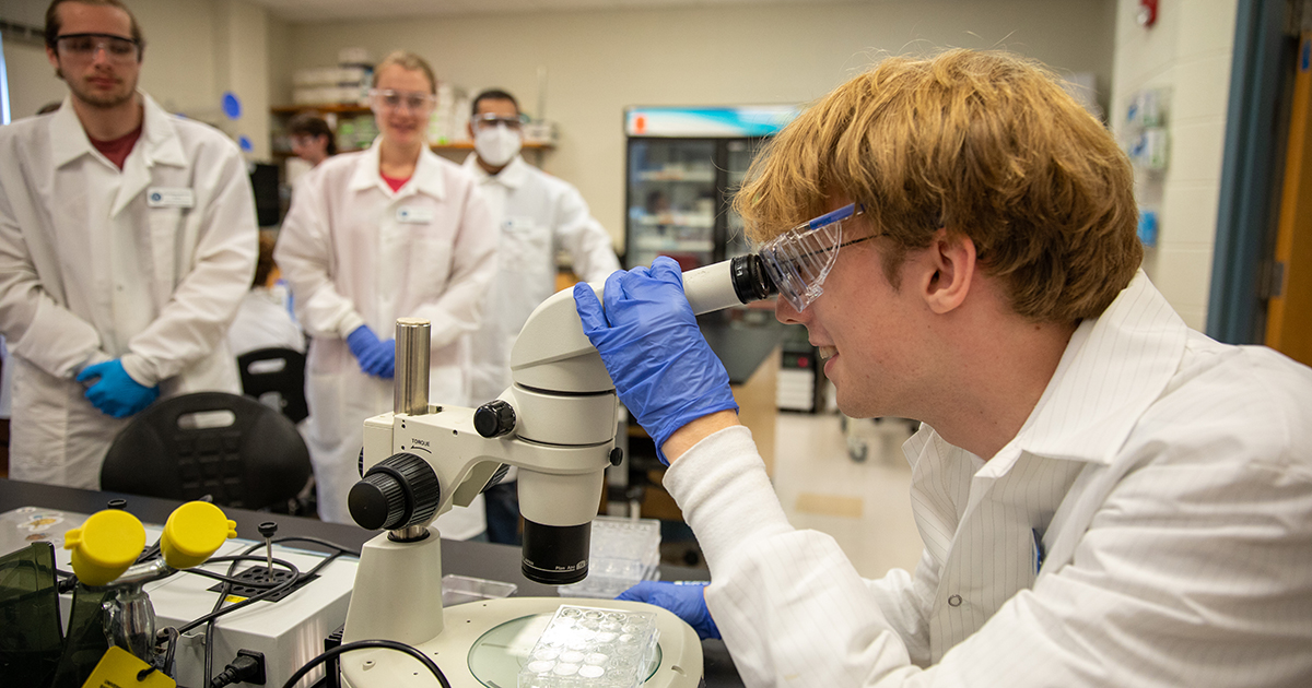 An applied molecular biology and biotechnology student in a white lab coat, blue gloves, and goggles looks into a microscope while other students look on in the lab.