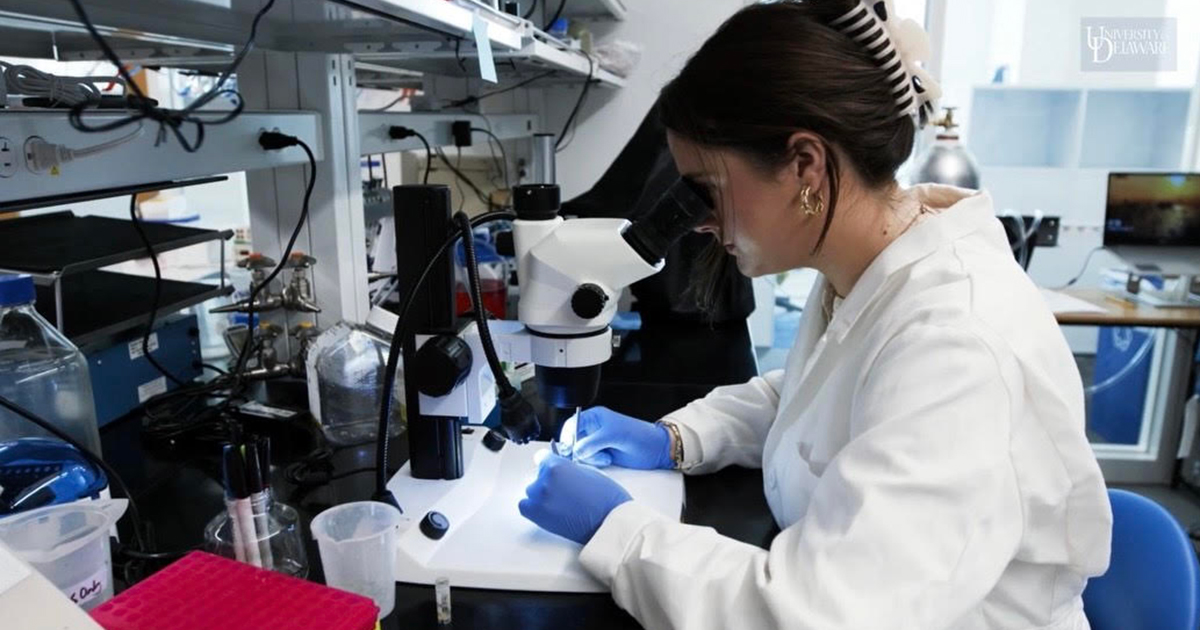 Applied Physiology PhD student Erica Johnson, wearing a white lab coat, looks in a microscope in the Vascular Ion Channel Laboratory.