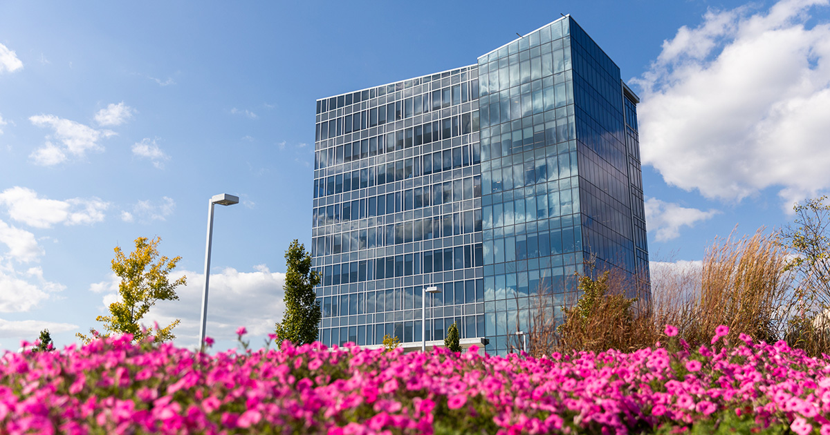 An image of a university building 