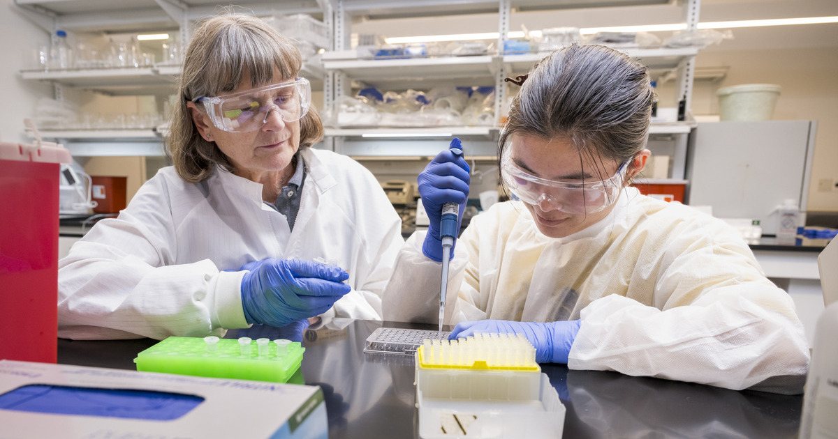 A student and a teacher working in the lab, wearing white lab coats, goggles, and blue gloves.