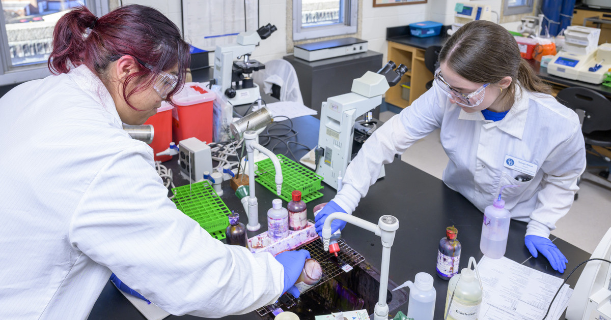 Students working in a lab with lab jackets, gloves, goggles, pipettes