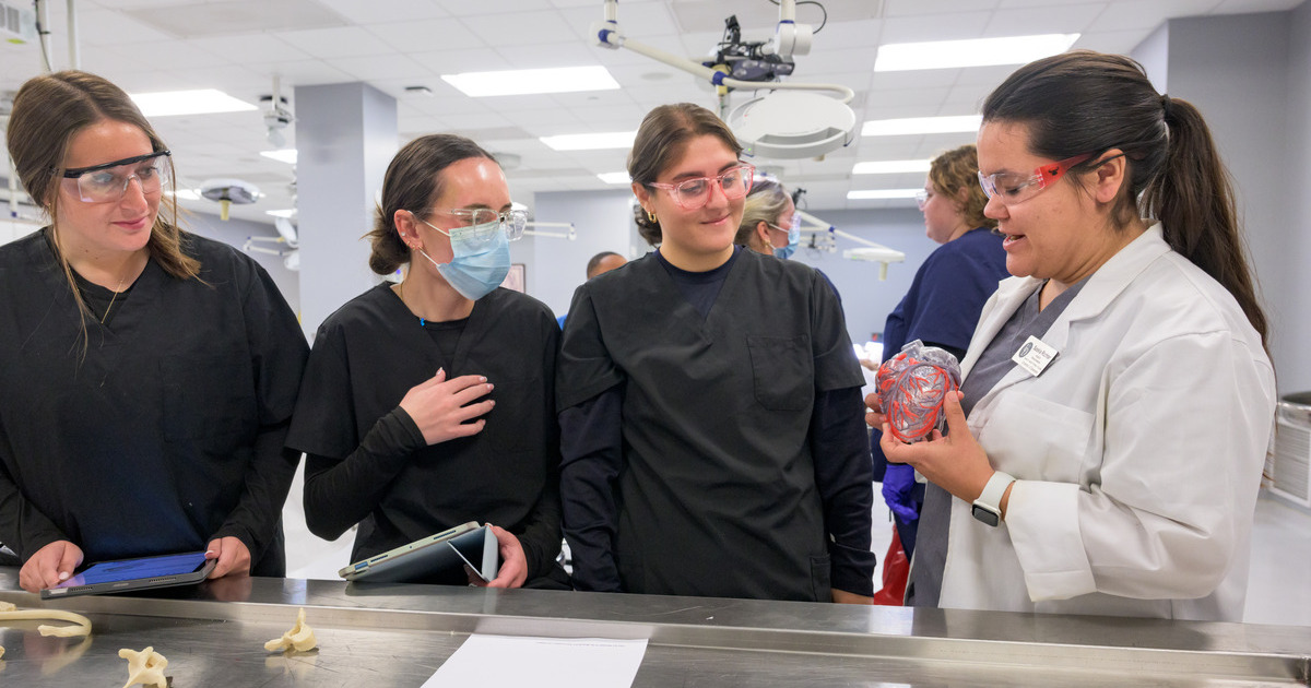 Students work in the anatomy lab while a professor holds a plastinated model. 
