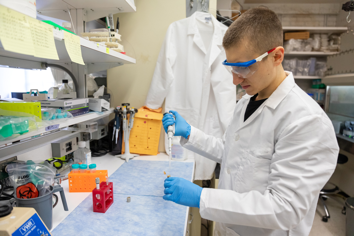 Nutrition Medical Sciences student working on research in a lab
