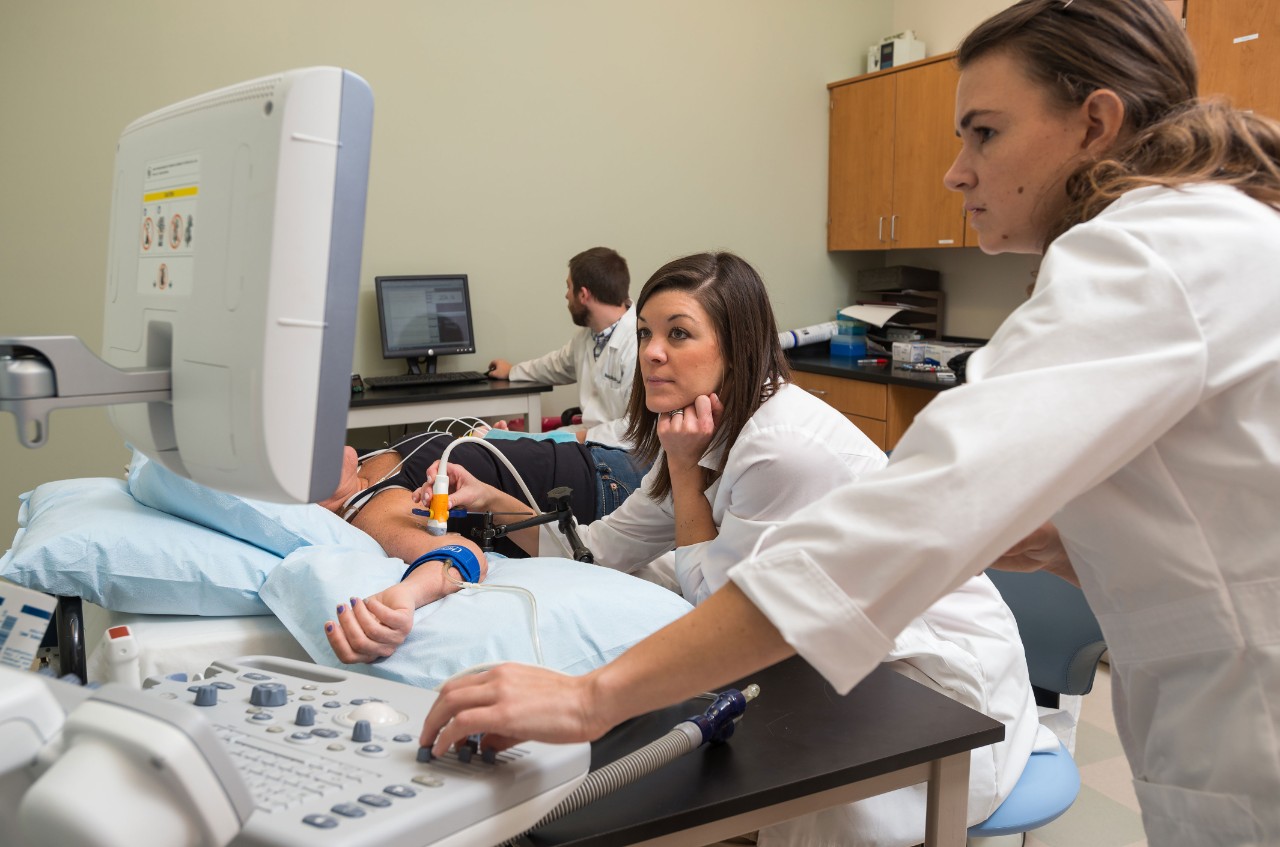 Dr. David Edwards's Vascular Lab