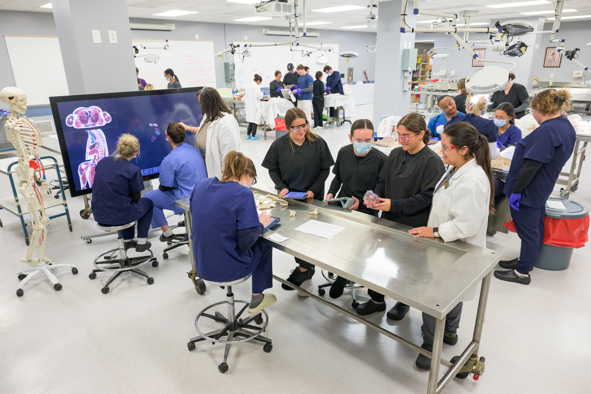 class in the anatomy lab