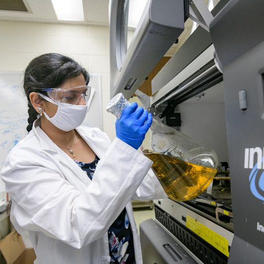 CHS-MMS-Batish_Lab-Return_to_Research-070620 Mona Batish is an assistant professor of Medical and Molecular Sciences who's work focuses on "single molecule RNA imaging and a combination of molecular and biochemical tools to understand the processing, localization and function of both coding and non coding RNAs in health and disease." Photographed as part of UD’s "Return to Research under COVID-19."