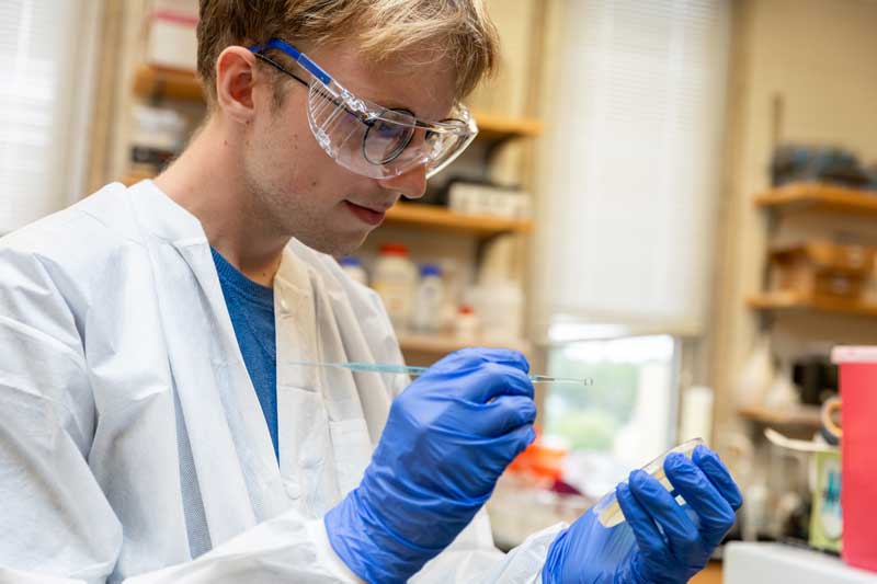 Student working on a petri dish in the lab