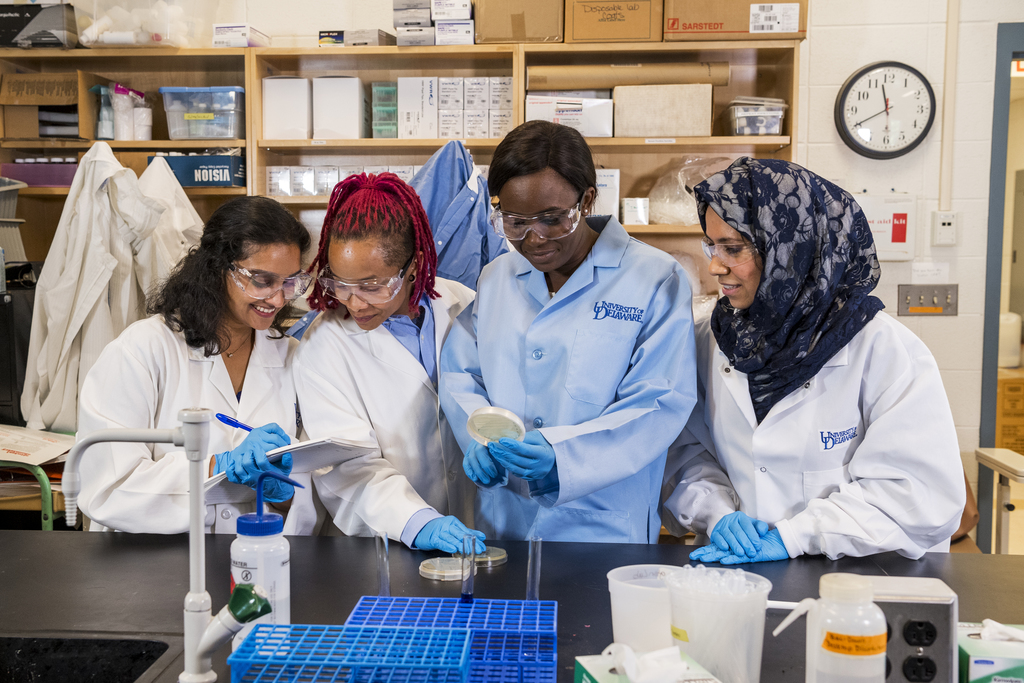 Four individuals in a lab discussing results on a petri dish