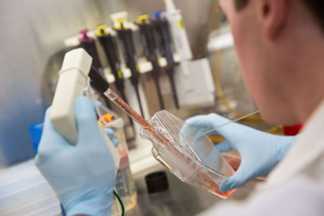 Individual working in a lab