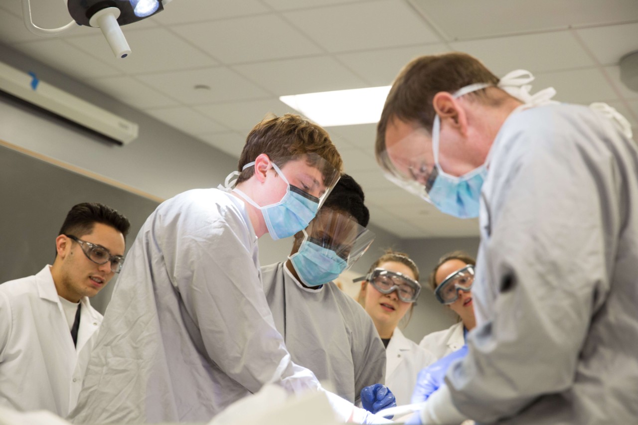 Students wearing PPE working in a human anatomy lab