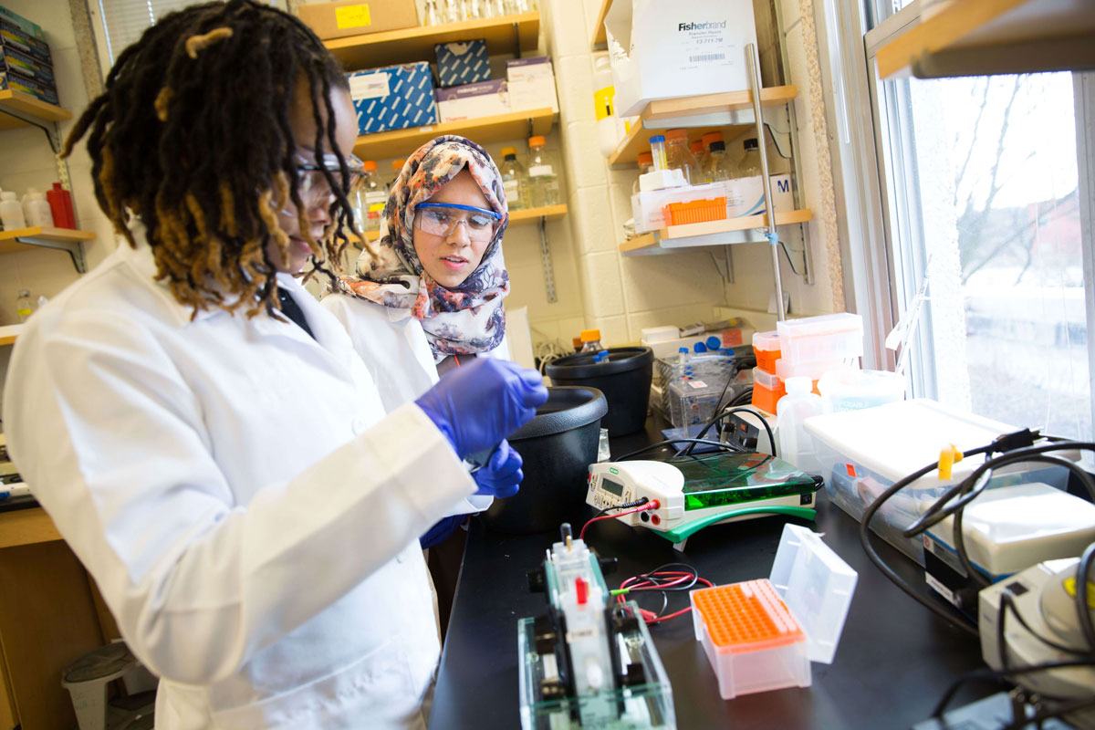 2 students working with test tubes in a lab