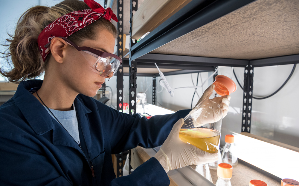 Young student in a lab examining a solution.