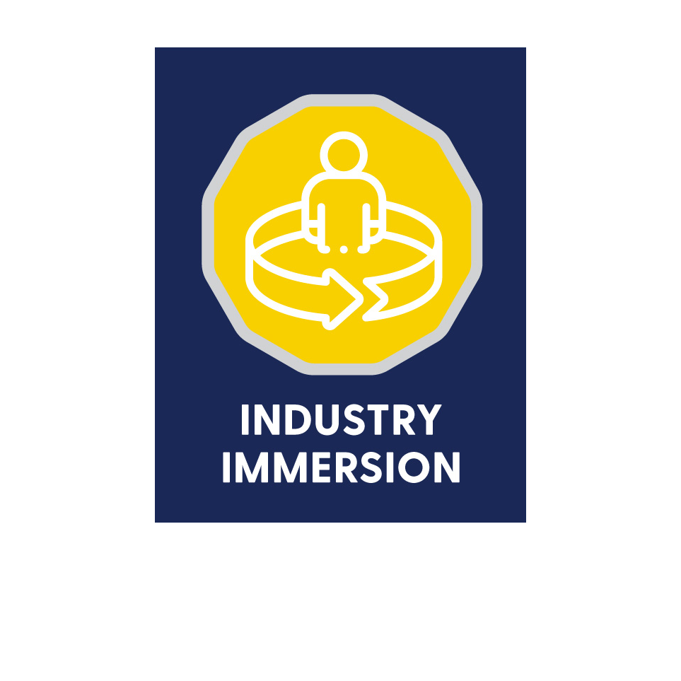 Industry immersion icon