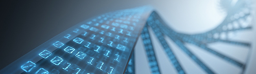Applied Mathematics Applied Mathematics