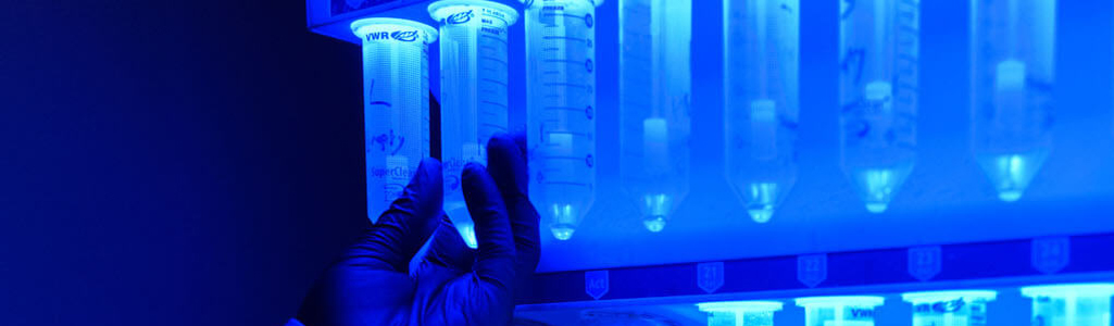 Biopharmaceutical Sciences Biopharmaceutical Sciences