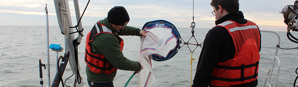 Researchers on a vessel with a plankton tow.