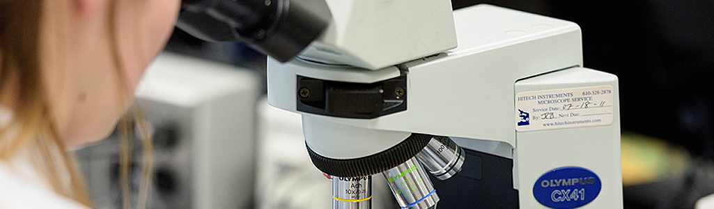 Student looks through a microscope in a Medical Laboratory Sciences class in the lab in Willard Hall.