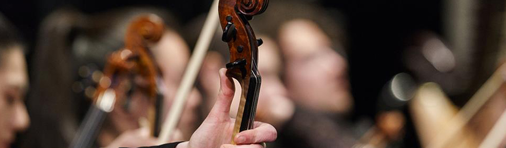 Close up view of a hand holding the neck of a string instrument.