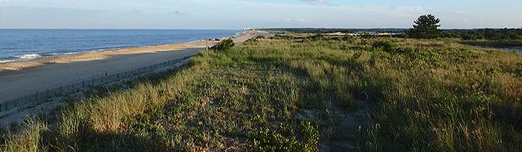 Coastal scene.