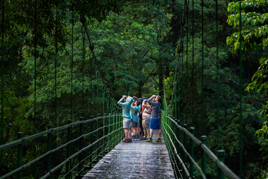 students on a bridge at La Selva Biological Station to see birds