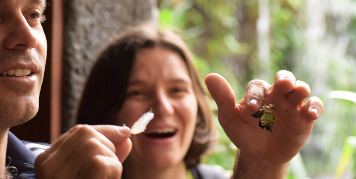A professor holds a butterfly to show members of his study abroad program.
