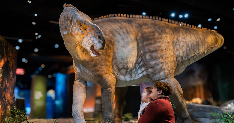 Day of the Dinosaur
