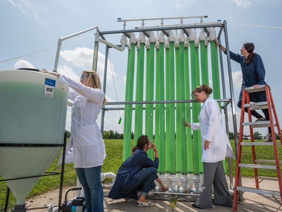 Experiential Learning Experiential Learning