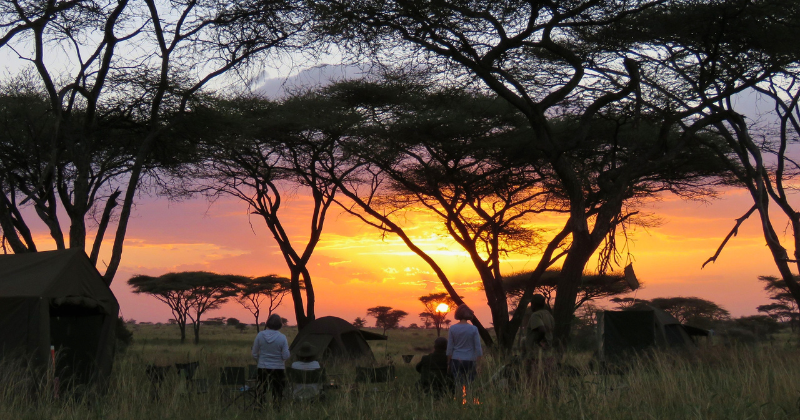Untitled design - DAR_UDAA_Travel_Tanzania2