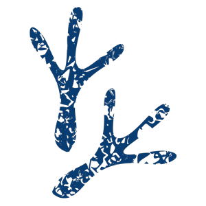 TBH-icons True Blue Hen Loyalty Society