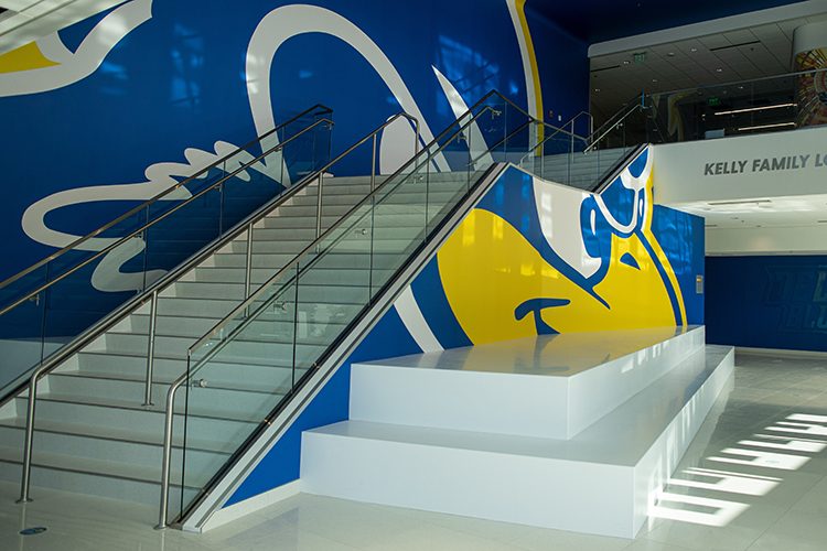 Stairway detail showing a painted Blue Hen in the new Whitney Athletic Center. 