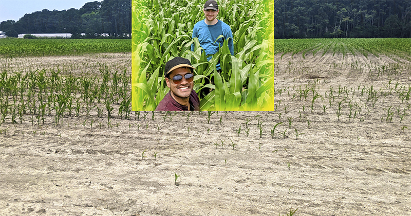 University of Delaware's Manan Sarupria, who successfully defended his dissertation this spring, has developed a machine learning algorithm combined with field data to examine the proportion of Delmarva farmland land cover that was identified as salt patches or marshes. University of Delaware's Manan Sarupria, who successfully defended his dissertation this spring, has developed a machine learning algorithm combined with field data to examine the proportion of Delmarva farmland land cover that was identified as salt patches or marshes.