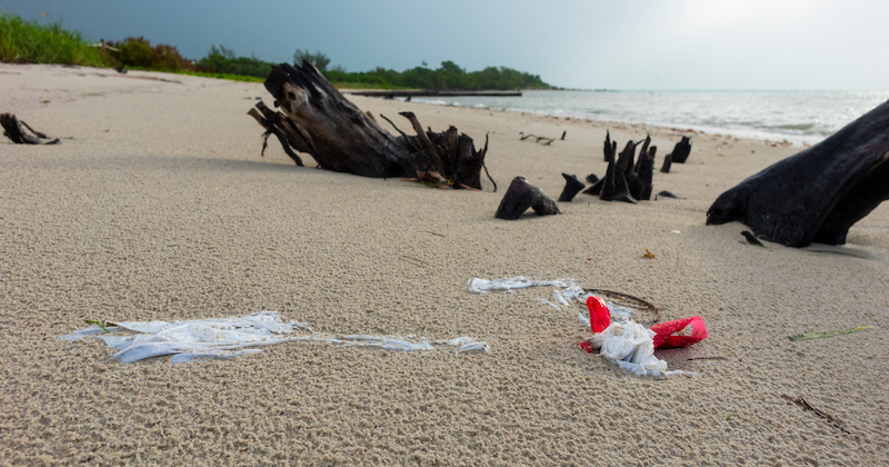 A new study from the University of Delaware and Columbia University looked at plastic bag bans and fees in jurisdictions across the United States to gauge their effectiveness. A new study from the University of Delaware and Columbia University looked at plastic bag bans and fees in jurisdictions across the United States to gauge their effectiveness.