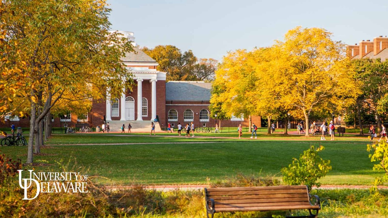 Blue Hens Forever video conferencing background graphic.