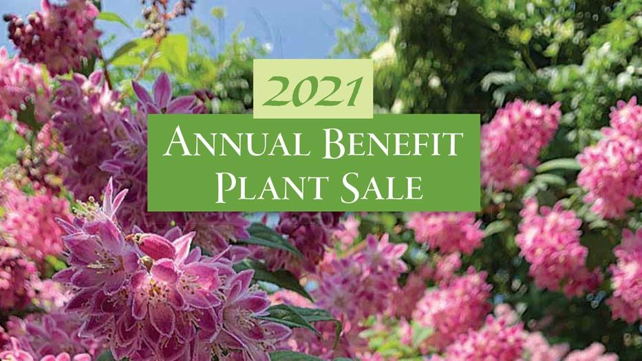 untitled UD Botanic Gardens 2021: Online Catalog