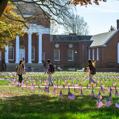 Veterans_Day-Flag_Garden-EK-111022