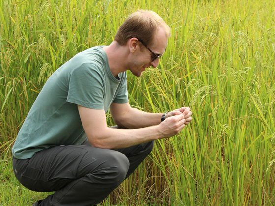 UD Professor Kyle Davis has studied crops, crop rotation and national farming policies as the world struggles to feed its burgeoning population and use resources smartly amid climate change.