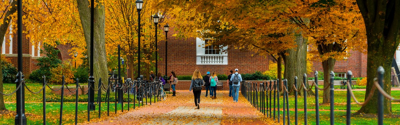 Various photos of the main / Newark campus of the University of Delaware featuring fall colors and the changing of seasons. November, 2013.