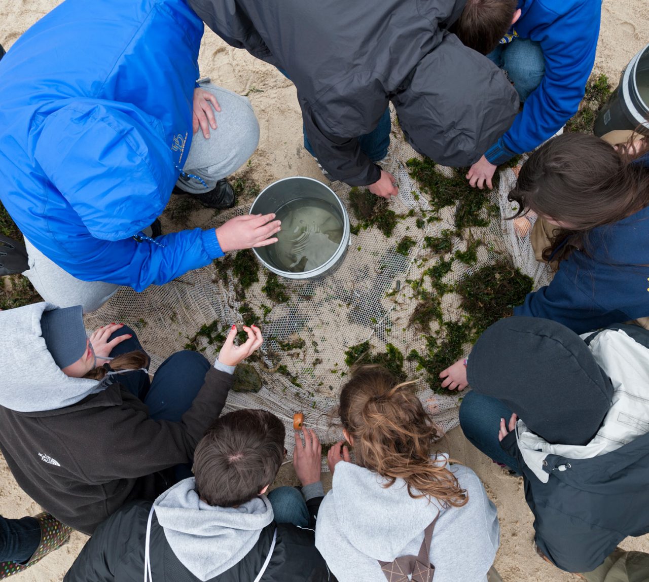 Undergraduate students from the Honors program and the College of Earth, Ocean, and the Environment (CEOE) on a trip down to Lewes, DE to learn about the Mid-Atlantic Environment, ocean ecology, seining,  marine biology and the wind turbine. For individual IDs, see large group photos (CEOE_Honors_Lewes_Trip _003 / 004)