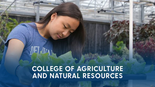College of Agriculture and Natural Resources